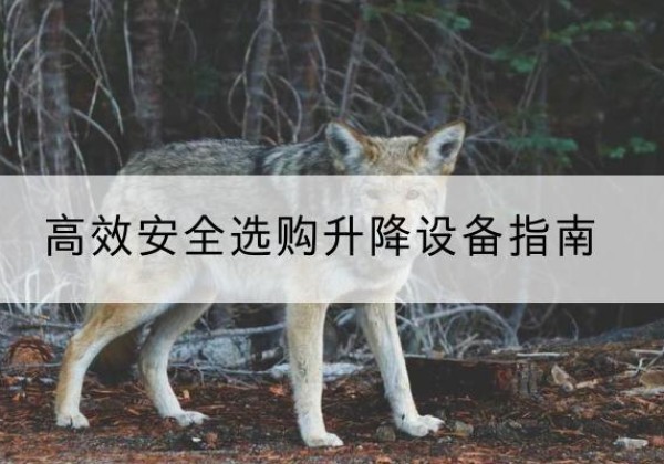 莲都升降货梯厂家推荐-*安全选购升降设备指南