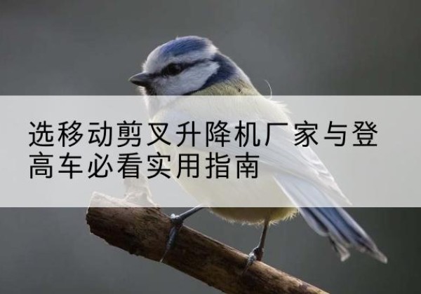 莲都电动升降机厂家-选移动剪叉升降机厂家与登高车必看实用指南