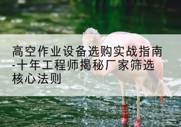 莲都剪叉式升降机厂家-高空作业设备选购实战指南-十年工程师揭秘厂家筛选核心法则