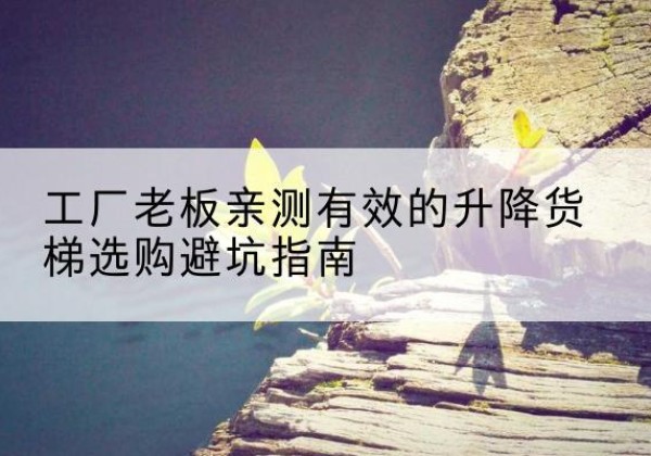 莲都升降货梯怎么选-工厂老板亲测有效的升降货梯选购避坑指南